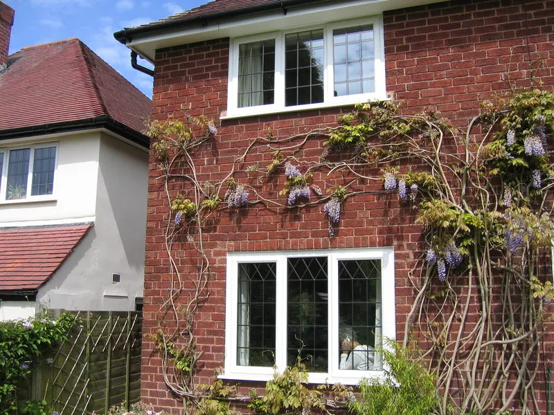 Edwardian Conservatory — Gallery South Lambeth